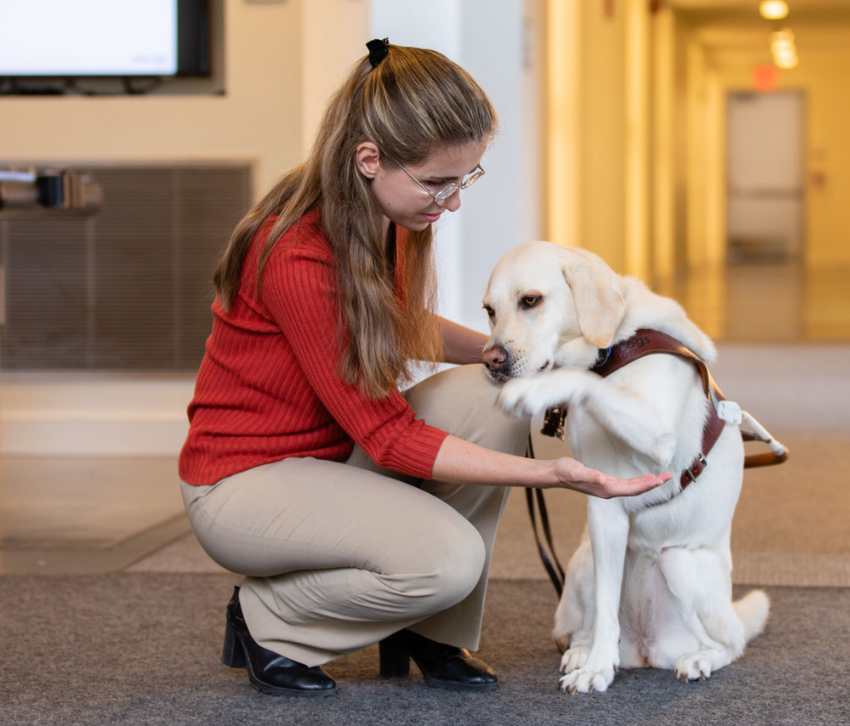 A guide dog and visually impaired woman stop in the hallway of an inclusive workplace.